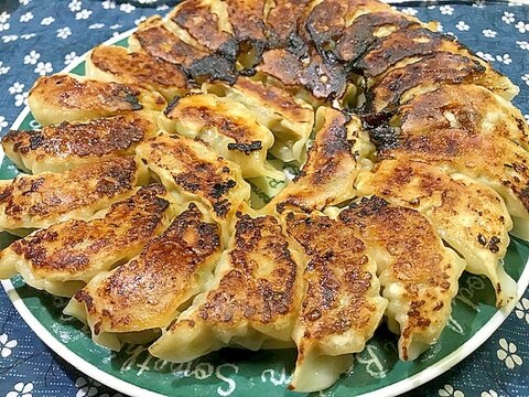 我が家の焼き餃子